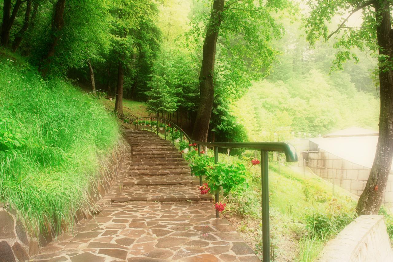 Hotel Nemira Slănic-Moldova Eksteriør bilde