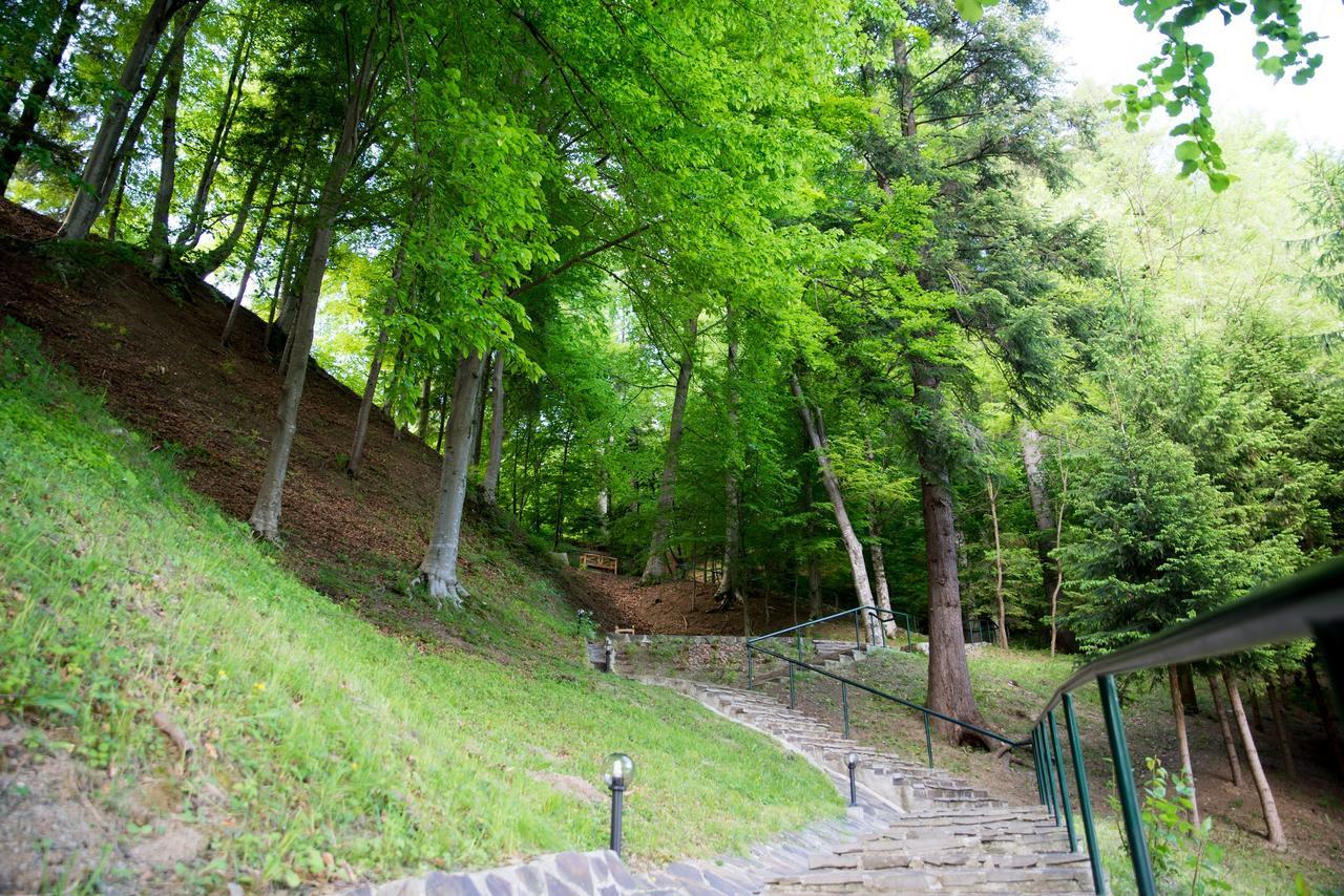 Hotel Nemira Slănic-Moldova Eksteriør bilde